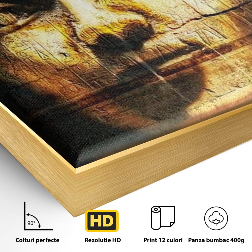 Detaliu al suprafetei: tablou canvas cu chipul unui faraon, in rama de aluminiu auriu